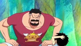 garp luffy