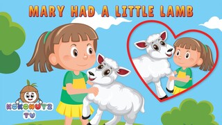 Mary Had a Little Lamb Kids Nursery Rhymes and Song | KokonutzTV