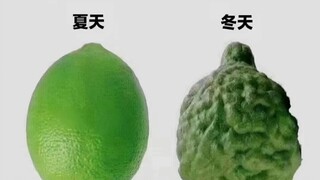 趣图3
