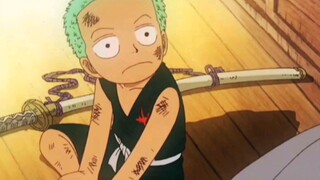 Ketika Zoro masih kecil, dia tidak mengerti maksud gurunya.