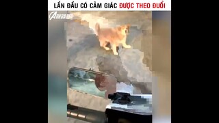 Lần đầu có cảm giác được theo đuổi | Cre : Nguyễn Xuân Tâm