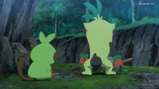 Pokemon (2019) - 101