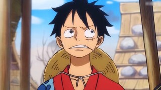 [Selamat untuk Luffy｜All Road] Kakek ingin aku menikah