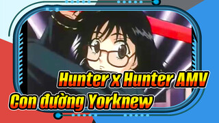 Con đường ở thành phố Yorknew | Hunter x Hunter AMV