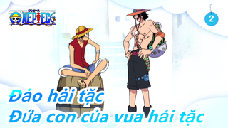 [Đảo hải tặc] Đứa con của vua hải tặc thật là hiền lành_2