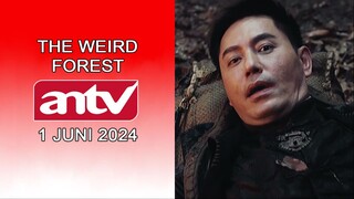 Klip Film Cina The Weird Forest ANTV Tahun 2024