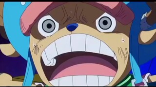 “Luffy cậu ấy là người sẽ trở thành Vua hải tặc”