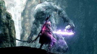 Sekiro Shadows Die Twice - Headless Guardian Ape / No Damage