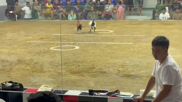 Entry 15 kanawayon 2 hits ulotan champion