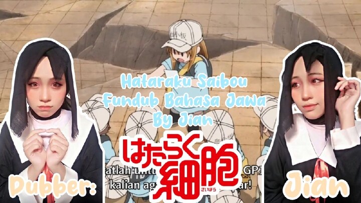 Trombosit jelmaan anak TK lagi bekerja sama?!(≧▽≦) LUCU BANGET! | FanDub Anime | Hataraku Saibou