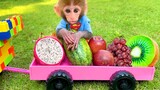 Baby monkey Bon Bon and puppy harvest fruit in the farm