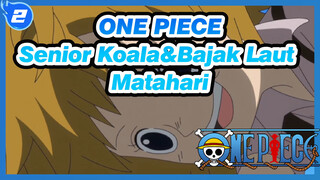 ONE PIECE
Senior Koala&Bajak Laut Matahari_2