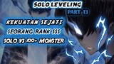 Kekuatan Sejati Seorang Rank SSS+ !? Melawan Ribuan Monster Sendirian!? (Solo Leveling Part 13)