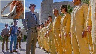 There Are No Walls in This Prison, But The Convicts Don't Run Away - The Collars Make Them Obedient