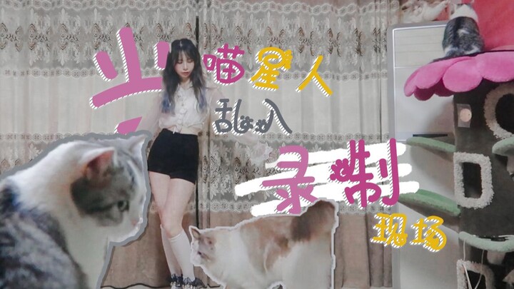 当你在录制翻跳，而喵主子想午夜蹦迪时......