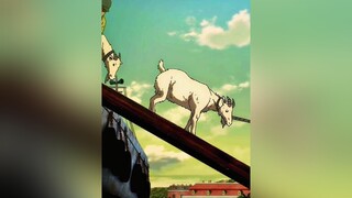 goat ep87 marley animal aot fyp fypシ fypage edit viral anime animehub animeedit animefyp animetikto