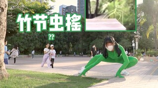 【依依酱】真❤野外竹节虫