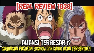 [REAL REVIEW 1036] SUDAH TERLIHAT!? KING DAN KATAKURI AKAN BERGABUNG DENGAN LUFFY!?