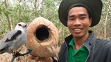 Thu Hoạch Ong và Tìm Được Mấy Tổ Chim Lớn - 7 Ân