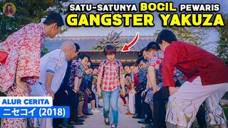 TERLIHAT BIASA SAJA BOCAH INI TERNYATA PEWARIS GENG YAKUZA YANG SANGAT BERBAHAYA - alur cerita film