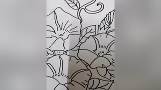 hoa bìm biếc tím drawing drawingflowers drawingart hoabiec vehoa stayhomechallenge stayhomecovid19