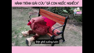 [Vietsub] Hành trình giải cứu "Gà con ngốc nghếch" | Ổ nhỏ của Hoài