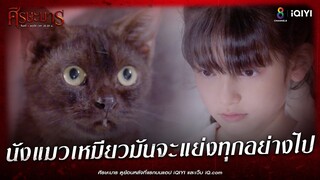 นังแมวเหมียวมันจะแย่งทุกอย่างไป | HIGHLIGHT ศีรษะมาร EP1 | ช่อง8