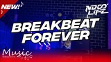 DJ BREAKBEAT FOREVER BOOTLEG FULL BASS 2023 [NDOO LIFE FT. @dzarilfreakoutwg]
