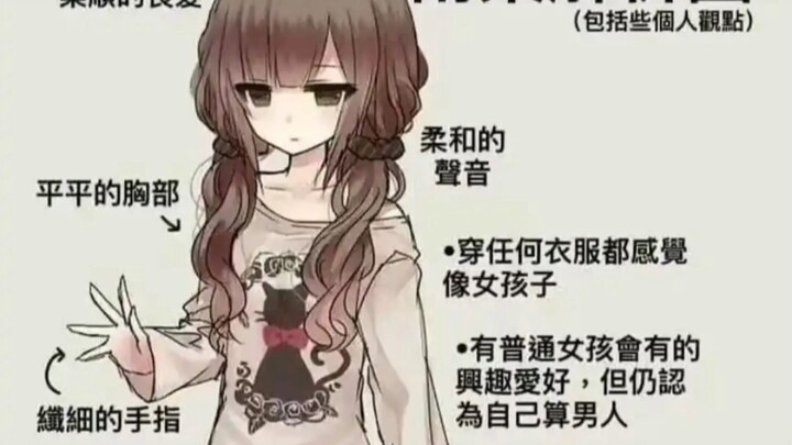 男娘解析图