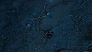 𝙲𝙷𝙴𝙴𝚁 𝚄𝙿 episode 16 (TAGALOG DUBBED)