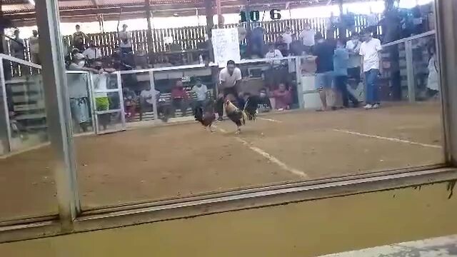 Hennie line vs Goliath