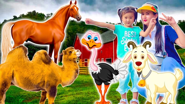 Changcady ở nông trại dê trắng, chơi cùng các con vật: con dê, con cừu, đà điểu, lạc đà, ngựa