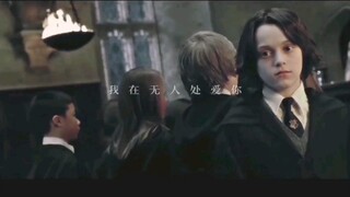 Phim ảnh|Harry Potter|Người nhà Slytherin luôn để mất người yêu