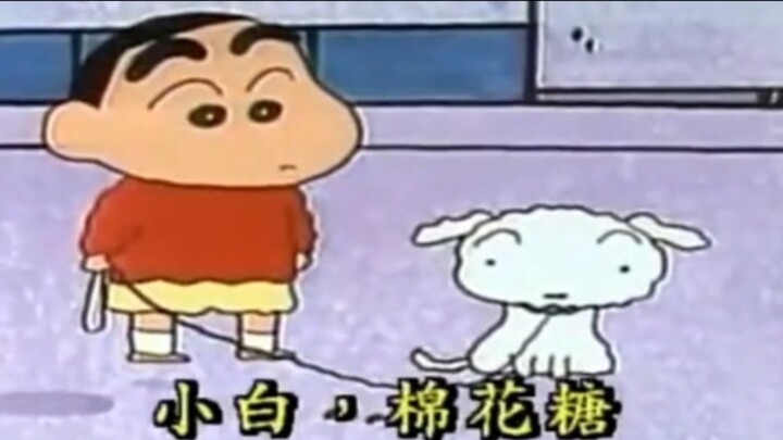 Xiaoxin: He is not Xiaobai, he is Baishen!