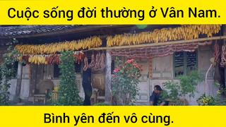 Cuộc sống đời thường ở Vân Nam, bình yên đến vô cùng #videohaynhat