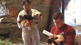 [Hewan] Momen lucu panda belajar merangkak