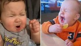 พยายามอย่าหัวเราะ 1001 ปฏิกิริยาของทารกที่ตลกและน่ารักเมื่อกินมะนาวครั้งแรก