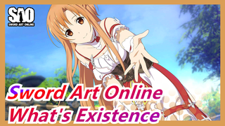 [Sword Art Online / Epic / 1080P] What's Existence? What's Bonds?