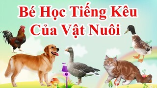 Bé học tên và tiếng kêu của con vật | Baby Learn about Animal Names & Learn Animal Sounds | PingTV