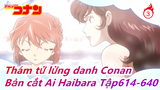 [Thám tử lừng danh Conan] Bản cắt Ai Haibara Phần 11, Tập614-640_3