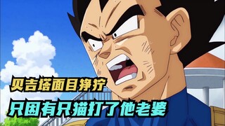 Dragon Ball Super 4: Vegeta's wife was beaten. Vegeta instantly went crazy