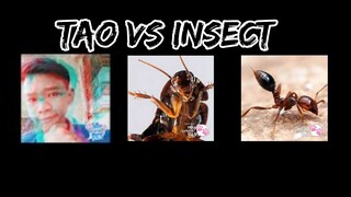 my talking pet - Tao VS Insec ipis & langgam "Challange Accepted"