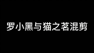 罗小黑与猫之茗混剪