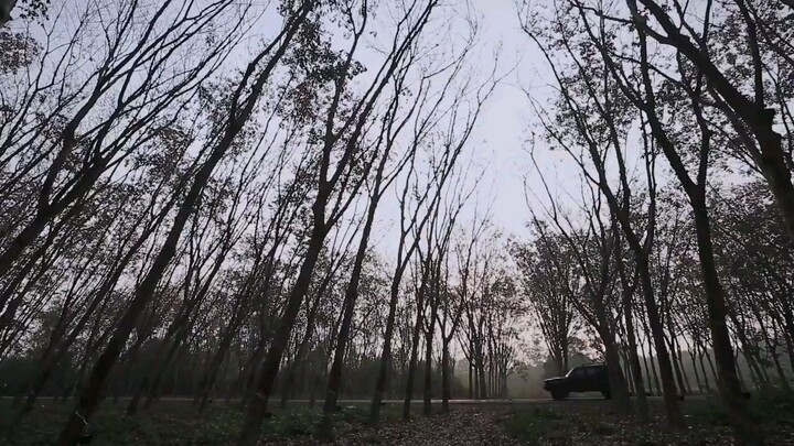 คู่ชีวิต - COCKTAIL 「Official MV (CutVersion)J