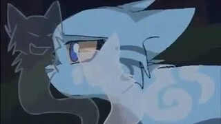 Graystripe and Silverstream AMV - Set The Fire To The Third Bar (By RyuLovesTsute)