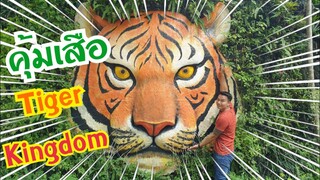 Tiger Kingdom Chiang Mai |คุ้มเสือ เชียงใหม่|Chiang Mai|Tiger|elephant|