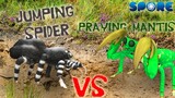 Praying Mantis vs Jumping Spider | Insect Warzone | SPORE