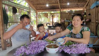 Hoa Lục Bình Đầu Mùa Nở Rộ Chợt Thèm Tô Mắm Chưng |ATML &Family T63