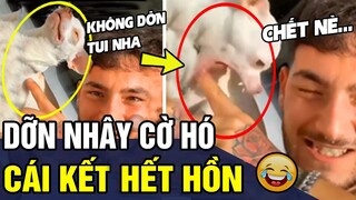 Tổng Hợp Tình Huống HÀI ĐỘNG VẬT Đảm Bào KHÔNG CƯỜI KHÔNG LẤY TIỀN P71 | Trùm Tin Hài