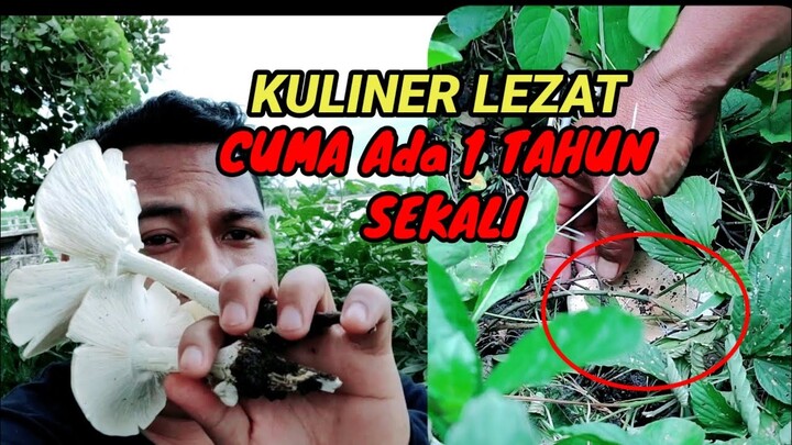 Kuliner Harta Karun cuma ada 1 Tahun sekali